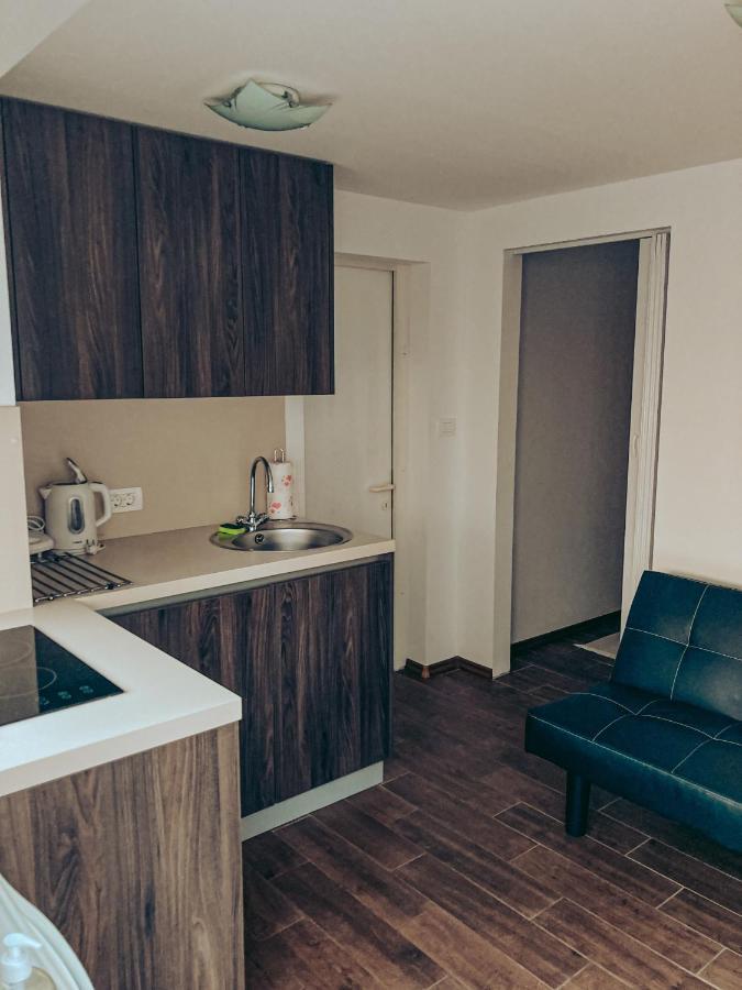 Apartments Ivanovic Idrija Eksteriør billede